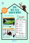 안양시, 내장형 칩 동물 등록 비용 지원