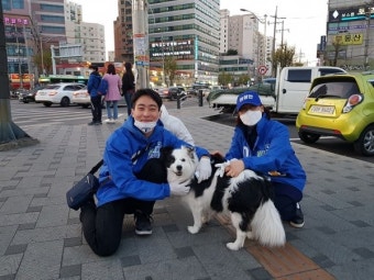 이성만 민주당 부평갑, 어르신들 투표안내 및 강아지 힐링