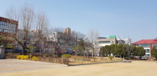 평택시 학교 숲 조성 교정이 아름다워요성동초 등 4곳 산수유·철쭉  등 3400여 그루 심어