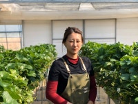 [백령도 청년 농업인 김을남씨] 당도 높은 섬딸기 맛보세요