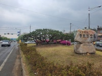 광주 오포읍, 유휴녹지공간 화단조성