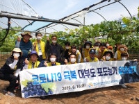 한국산업단지공단 직원들 포도농가서 구슬땀