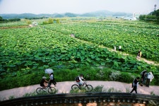 [경기만 소금길, 생명을 담다] ④발길 떼기가 아쉽다…도보여행 첫 걸음