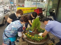 인천 주안6동, 석바위 시장 주변 꽃 심기