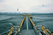 [경기만 소금길, 생명을 담다] ⑤푹푹, 발 대신 마음이 빠져들었다…도보여행 2구간