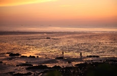 [경기만 소금길, 생명을 담다]⑥갯벌에 노을 다 스밀 때까지 홀린 듯 서있었다