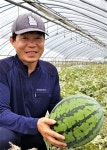 서형일 온주농장 대표 포천서 재배한 첫 수박 맛 보세요