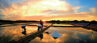[경기만 소금길, 생명을 담다] ⑩8구간 대부해솔길 4코스 종점∼경기창작센터