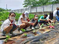 [원격 수업 속 해법 찾는 학교] (3) 평택시 가사초등학교