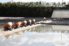 [경기만 소금길, 생명을 담다] ⑭12구간 제부도 입구∼백미리어촌체험마을