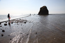 [경기만 소금길, 생명을 담다] ⑭12구간 제부도 입구∼백미리어촌체험마을