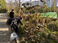 안산시 호수동 주민자치위원회, 민속공원 내 정원가꾸기 활동