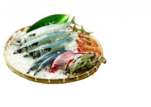 [중소기업협동조합과 인천경제 살리기] 3.인천종합어시장협동조합