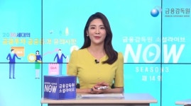 금감원 2030세대, 해외 주식 투자 시 객관적 자료 찾아볼 것 당부