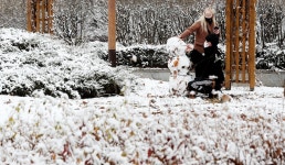 눈꽃이 활짝 피다