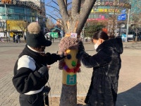 고양시 일산서구 덕이동 주민들, 나무에 털옷입히는 트리니팅 참여