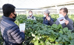 가평군의회, 딸기 농가 찾아 현장 소통