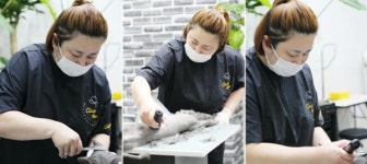 이제 고양이 무마취 미용도 프랜차이즈로 만나세요. 고양이 무마취 미용 전문 천안 성정동 야옹아놀자, 김병애 원장