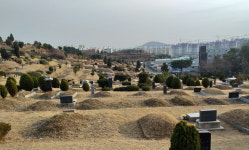 도심 흉물 김포공원묘지…이전 문제 재점화