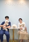 이젠 반려동물 용품도 천연 제품 시대,반려견을 위한 천연제품 선보여 부산시 해운대구 우동 애견미용전문 포피포유 김성태, 정다경 대표