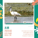 [김기자의 이슈여행기] 인천시, 인천을 상징하는 깃대종 5종 선정