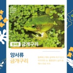 [김기자의 이슈여행기] 인천시, 인천을 상징하는 깃대종 5종 선정