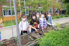 안산 성포초등학교 텃밭 가꾸기로 자연생태 감수성을 키워요