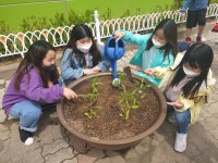 안산부곡초등학교, 학교 텃밭 가꾸기로 고운 인성 함양