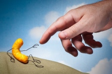 군포문화재단 기획전시 테리보더-먹고·즐기고·사랑하라