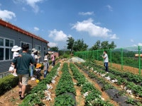 [경기도교육청 체험학습] 2. 영도초 참살이 생태체험학습장 오늘은 나도 농부다
