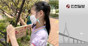[기고] 인천원동초 나무에 이름을 붙여주세요