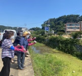 옹진군 EM연구회, 환경정화활동
