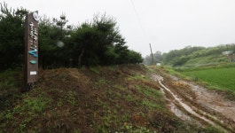 [황해로드] 5. 강화 연미정은 개성과 한양으로 오가는 조운선의 나들목