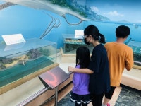 [경기도교육청 체험학습] 6. 안산 대동초등학교 해양체험학습장