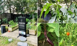 로이문화예술실용전문학교 호텔조리푸드스타일과정, 가든팜 프로젝트 운영