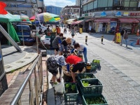 안산시 원곡동 다문화거리 가을꽃 향기 가득