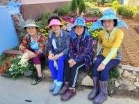 꽃향기 가득한 동네 가꾼 영태5리 F4