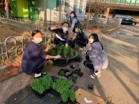 안산 원일중학교, 맥문동 울타리 화단 조성