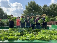 [2021인천나눔이야기] 6. [관교노인복지관] 도시농부 (도심 속 시니어 농촌 부락)