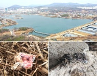 3기 신도시 의왕군포안산지구 수달이 산다