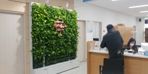 안산시 백운동, 민원실에 수직 정원 설치로 주민들의 힐링공간 조성