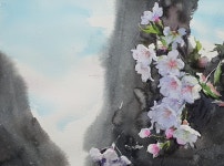 4월10일까지 인천 도든아트하우스 강형덕 수채화전