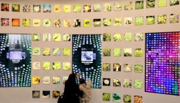 [포토] 우리나라, 자생생물 생생채움