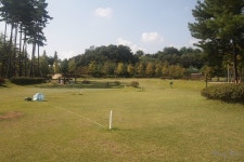 이번엔 문 닫는다고 반발...김포 은여울공원, 파크골프장 시끌