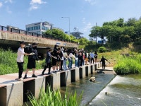 안산 학현초등학교 학생들, 안산천 수질 개선을 위해 EM 흙 공 던지는 봉사 활동