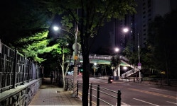 용인시 동백1동, 통학로ㆍ횡단보도 등 12곳에 LED 인도등 설치