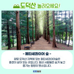 [카드뉴스]광명 도덕산, 인공폭포 출렁다리 개통