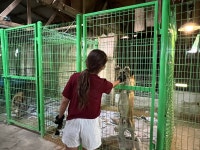 식용에서 식구로…구조된 강아지 새 삶 선물