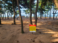 옹암해수욕장 활성화 난관