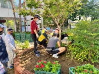 안산시 초지동 통장협의회, 동 행정복지센터 일대 가을 꽃밭 조성